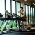 Gym Memberships